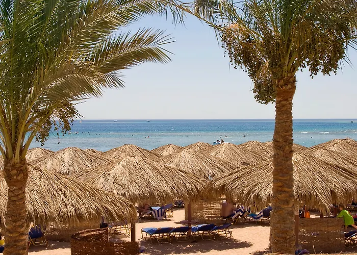 Jaz Makadi Star & - Adults Only 5* الغردقة